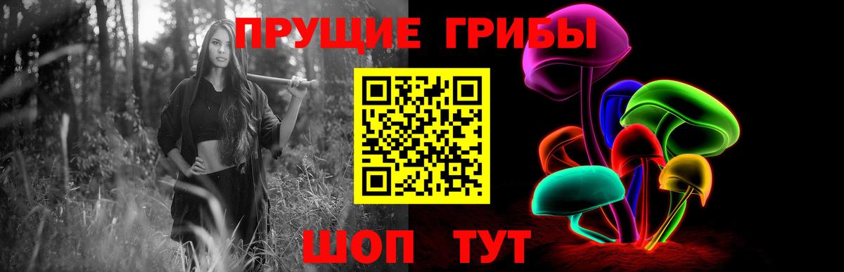 Кольчугино  Галлюциногенные грибы Psilocybe  Вход с VPN 